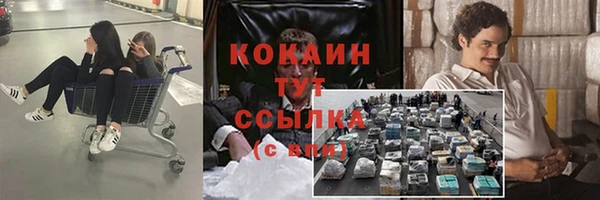 крисы Абдулино