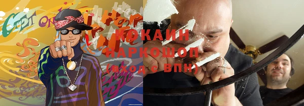ГАЛЛЮЦИНОГЕННЫЕ ГРИБЫ Арсеньев